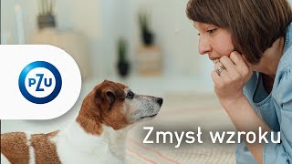 PZU #zostanwdomu - Wzrok - Mindfulness - Pełne uZmysłowienie | 5