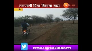 Gujrat,Gir Jungle Bikers Harras To Lion Video Viral