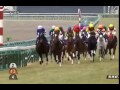 ジェンティルドンナ 有馬記念 2014