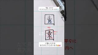 『園』⬜︎の中の漢字は平らにして上に詰めるように書くと◎✨！ #ペン #美文字 #ペン字 #ペン習字 #手書き #手書き文字 #ボールペン字 #ぺんてる #園_書き方