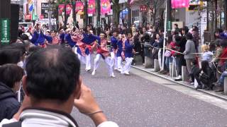 町田夢舞生ッスイ祭２０１２－瞬～きらら～