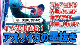 私、失敗しないので！アオリイカの墨抜きはこうやれば上手くいく！きれいに持ち帰ってまな板も墨知らず。誰でも簡単♪墨袋を破らないコツ。