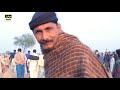 bull race in pakistan bull race in pakistan2021 jelsa bail door bail race bullraceinpakistan