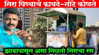 आरोग्यदायी निरा शरीरासाठी लाभदायक मग सरकारी परवानगी का लागते | sahyadri food | neera drink