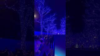 Shibuya Blue Cave Illumination 2023