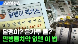 건강 챙기려고 건강기능식품 고를 때 '이것' 꼭 봐야 하는 이유 / 스브스뉴스