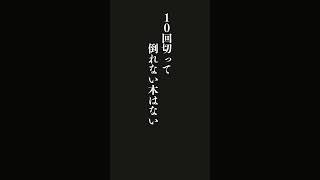 １０回切って倒れない木はない・・・韓国のことわざ