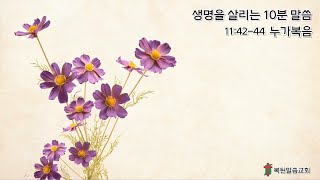 이것도 행하고 저것도 버리지 말라 / 누가복음 11:42-44