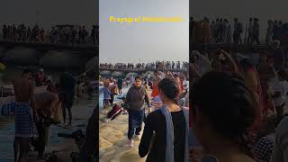 Prayagraj MahaKumbh #shors #video 🙏🙏