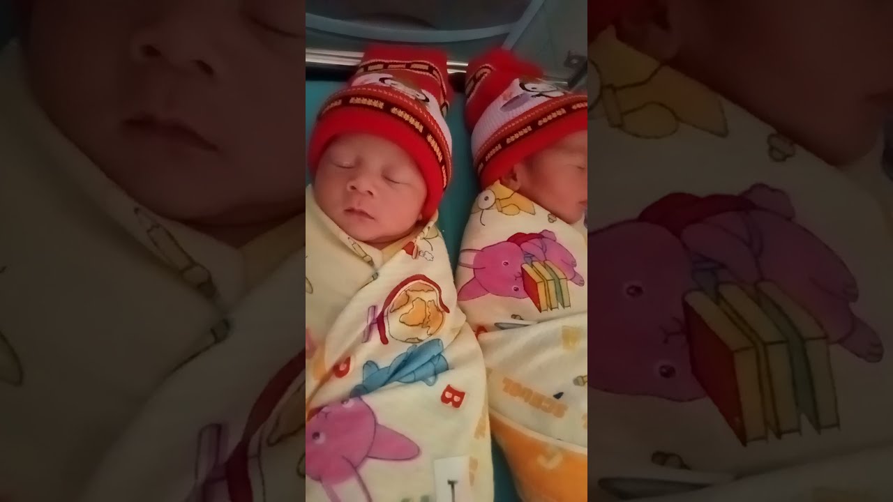 BAYI KEMBAR Baby Twins Poetoe And Phielie - YouTube