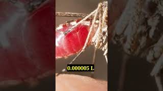 கொசு 😯 Mosquito 🦟 Facts #reels #shorts #viral #trending #facts #new #tamil #news #love #youtubeshort