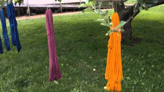 GISHWHES # 15 Old Time Skill - Yarn Dying