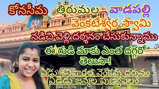 konaseema Tirumala Vadapalli వెంకటేశ్వర స్వామి.ఏడు శనివారలు దర్శనం చేసుకుంటే మన కోరికలు తిరుతాయి.