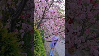 Child in cherry blossom forest #radhakrishna #youtube