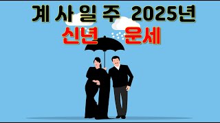 계사일주, 2025년 을사년신년운세 사주분석