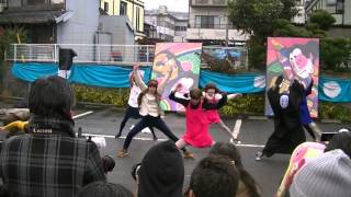 福井大学よっしゃこい バサラカーニバル2014