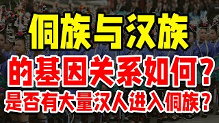 侗族与汉族的基因关系如何？是否有大量汉人进入侗族？