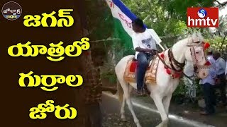 జగన్ యాత్రలో గుర్రాల జోరు | Jagan Praja Sankalpa Yatra In East Godavari | Jordar News | hmtv