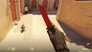 Best $250 knife for CS2 | Ursus Knife Crimson Web Battlescarred is insanely good in CS2