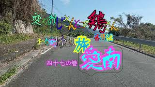 変なおじさんとこの　鶏さん番外編　ゆらり旅愛南　四十七の巻　あいなんの車窓２０　中玉海岸から　脇本の防波堤堤防