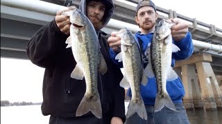 Deep fishing vs shallow bass fishing (which is better) Lake Norman