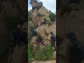 三姐妹爬山 three sisters climbing the mountain