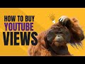 How to Buy Real Youtube Views: 3 Legit Sites