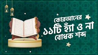 কোরআনের ব্যবহৃত ১১টি হ্যাঁ ও না বোধক শব্দ | কোরআন শিক্ষা | কোরআন বোঝার হাতেখড়ি