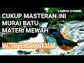 cukup masteran ini murai batu bisa juara