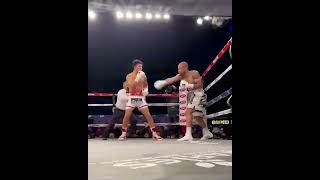 JAIME MUNGUIA | FORMER WBO SUPER WELTERWEIGHT CHAMPION OF THE WORLD | KNOCKOUT A