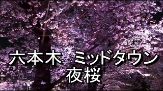 東京桜の名所　六本木ミッドタウンの夜桜