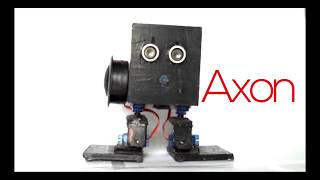 Axon | The Biped Robot