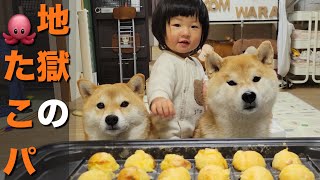 柴犬＆１歳児と一年ぶりの「たこ焼きパーティー」が地獄すぎて泣く