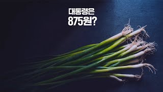 조국혁신당 광고_ 사과대파편