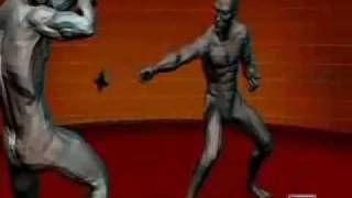 Ninjutsu (Human Weapon)