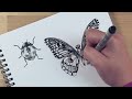 how to draw cute realistic insects with ink step by step tutorial