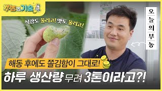 [뿌농의 기술] 해동 후에도 쫄~깃한 식감이 그대로?! ‘굳지 않는 떡’ 집중탐구👀