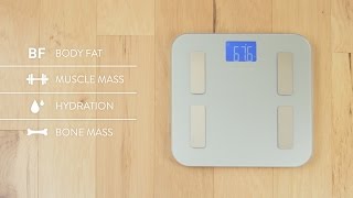 Track all your Body Metrics with This Scale | by Greater Goods