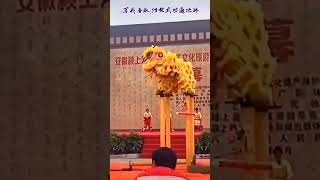 舞狮表演失误但完美收场 #醒狮文化 #liondance #国家级非物质文化遗产 #高桩醒狮