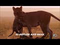 Maher Zain-Open Your Eyes (Lyric Video)
