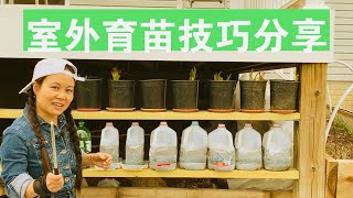 [ENG SUB] 早知道以后都要这样育苗了Strategies For Winter Sowing