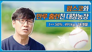 [한우 이야기] 충북 한우농장 인터뷰! 🎤 팜스코 대창농장 (1편) 🐂