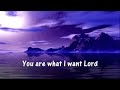 YOU (With Lyrics) : Rebecca St. James