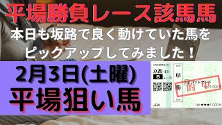 【競馬予想】２月３日（土曜）平場勝負レース該当馬７レース！本日も坂路で良く動けていた馬を厳選しました！