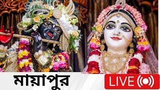 মায়াপুর ইসকন মন্দির ভজন কীর্তন | সন্ধ্যা আরতি কীর্তন | live Sandhya Aarti