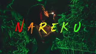 Nareku - Ragga Mix (Reggae, Raggastep, Dub) | KUY