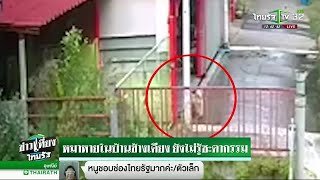 หมาหายไปในบ้านข้างเคียง ยังไม่รู้ชะตากรรม | 10-01-62 | ข่าวเที่ยงไทยรัฐ