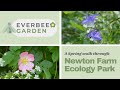 Newton Farm Ecology Park, London | EVERBEE GARDEN