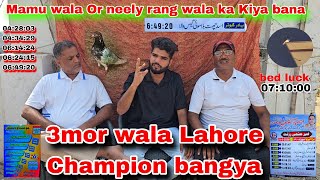 Langra kabutar lahore champion ban🥇gaya ustad Bila k baray kabutar wapis aya yaha nahi