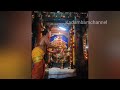 ஆருத்ரா தரிசனம் திருக்குற்றாலநாத சுவாமி திருக்கோயில் arudra darisanam thirkuttralanatha swamy om